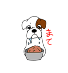 ボクサー犬 レオ（個別スタンプ：17）