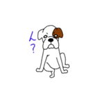 ボクサー犬 レオ（個別スタンプ：20）