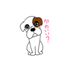 ボクサー犬 レオ（個別スタンプ：21）