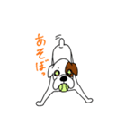 ボクサー犬 レオ（個別スタンプ：22）