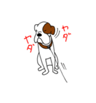 ボクサー犬 レオ（個別スタンプ：23）