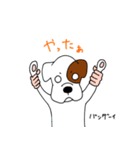 ボクサー犬 レオ（個別スタンプ：31）
