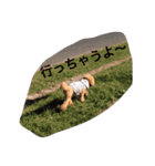 まんまるぽん太と妹のん2（個別スタンプ：13）