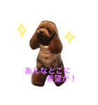 まんまるぽん太と妹のん2（個別スタンプ：15）