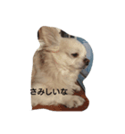 kintokilove（個別スタンプ：4）
