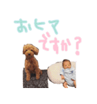 かいちゃんのはじめてスタンプ（個別スタンプ：19）