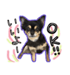 チワワ犬プッチちゃん（個別スタンプ：8）