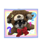 チワワ犬プッチちゃん（個別スタンプ：17）