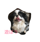 綱吉くん（個別スタンプ：2）