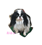 綱吉くん（個別スタンプ：7）