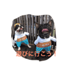 MERU＆URI（個別スタンプ：5）