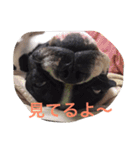MERU＆URI（個別スタンプ：6）