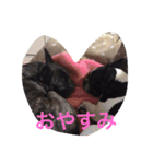 MERU＆URI（個別スタンプ：7）