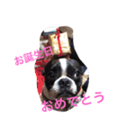 MERU＆URI（個別スタンプ：8）
