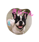 MERU＆URI（個別スタンプ：10）