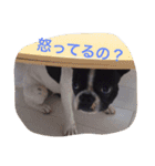 MERU＆URI（個別スタンプ：22）
