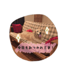 CANDY chibi part2（個別スタンプ：6）