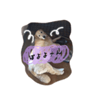 CANDY chibi part2（個別スタンプ：16）