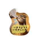 Sweet COCO chan（個別スタンプ：1）