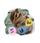 Sweet COCO chan（個別スタンプ：2）