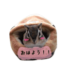 Sweet COCO chan（個別スタンプ：4）