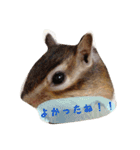 Sweet COCO chan（個別スタンプ：8）