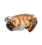 Sweet COCO chan（個別スタンプ：14）