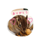 Sweet COCO chan（個別スタンプ：15）