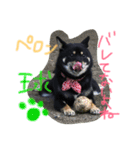 KUROSHIBA KYU2（個別スタンプ：11）