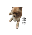 Dogg123（個別スタンプ：5）