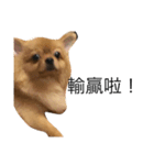Dogg123（個別スタンプ：10）