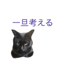 黒猫人君（個別スタンプ：3）
