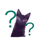 黒猫人君（個別スタンプ：5）