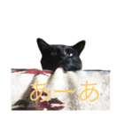 黒猫人君（個別スタンプ：6）