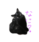 黒猫人君（個別スタンプ：8）