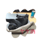 黒猫人君（個別スタンプ：9）