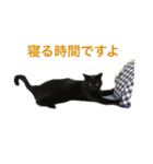 黒猫人君（個別スタンプ：11）