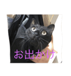 黒猫人君（個別スタンプ：12）