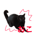 黒猫人君（個別スタンプ：16）