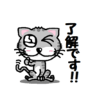 『うるキャラ』ネコさん！アメショ編（個別スタンプ：3）