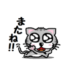 『うるキャラ』ネコさん！アメショ編（個別スタンプ：8）