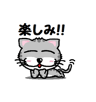 『うるキャラ』ネコさん！アメショ編（個別スタンプ：14）