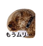 ぎんとき（個別スタンプ：5）
