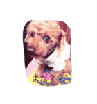 ぎんとき（個別スタンプ：9）