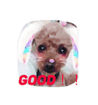 ぎんとき（個別スタンプ：13）
