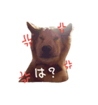 バルたんこ（個別スタンプ：5）