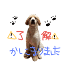 バルたんこ（個別スタンプ：6）