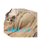 のんのスタンプ（個別スタンプ：4）