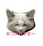 のんのスタンプ（個別スタンプ：7）