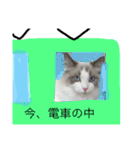 のんのスタンプ（個別スタンプ：24）